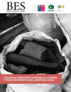 Consumo de Combustibles Derivados de la Madera y Transición Energética en la Región del Maule
