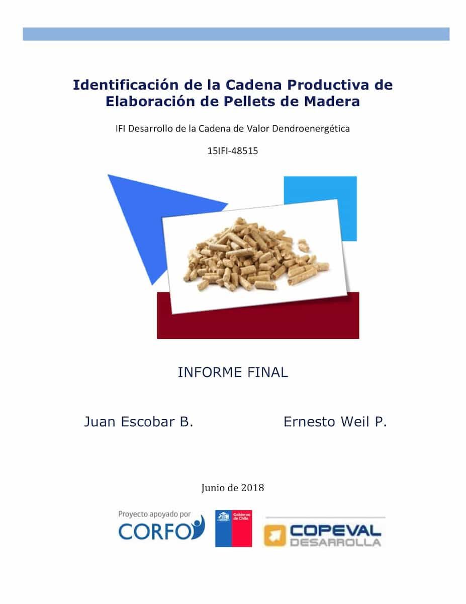 Consultoria Pellets CORFO