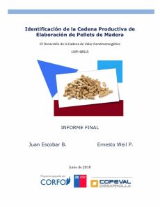 Consultoria Pellets CORFO