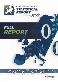 Statistical Bioenergy Report 2018